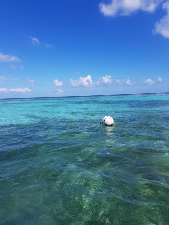 Island Magic Beach Resort Caye Caulker Esterno foto